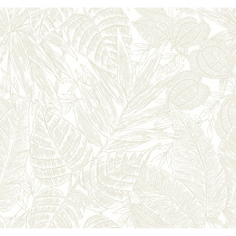 4034-72118 Brentwood Bone Palm Leaves Wallpaper by Scott Living