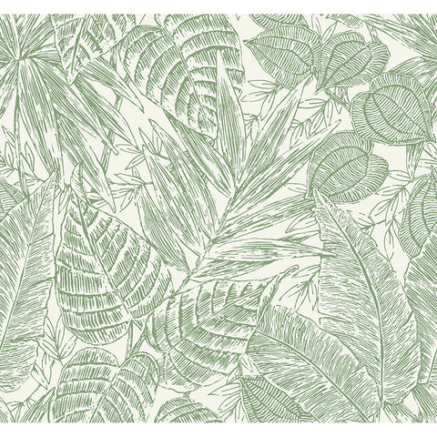 4034-72116 Brentwood Green Palm Leaves Wallpaper by Scott Living