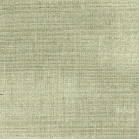 2693-65416 Popun Light Green Grasscloth