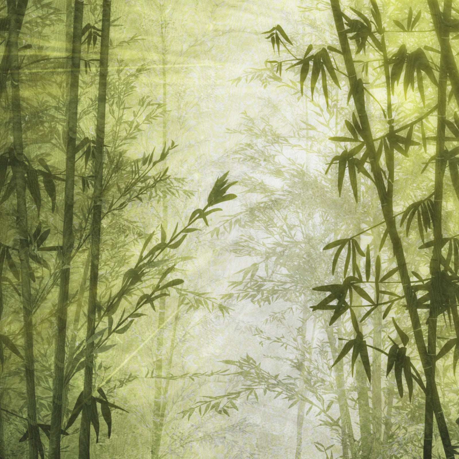 Z77588 Savana Tropical Bambu Dorado Panel – wallcoveringsmart