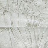 Z77546 Floral tropical Beige Cream off white palm leaves modern textured wallpaper roll