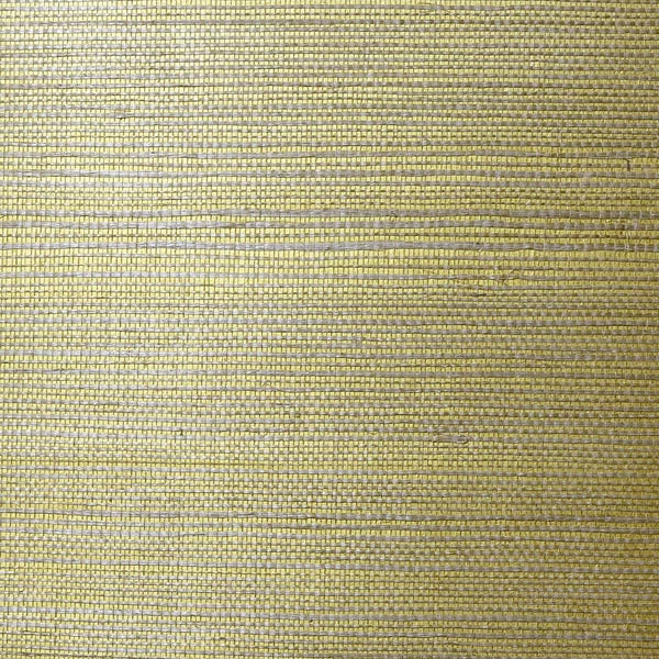 LN11864 Sisal Grasscloth Metallic Gold Aloe Wallpaper – wallcoveringsmart