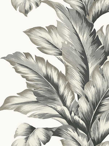 LN40600 Seabrook Banana Leaf Gray Wallpaper