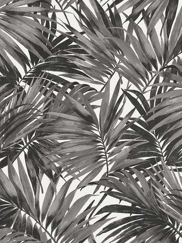 LN40700 Seabrook Palm Leaf Black Wallpaper