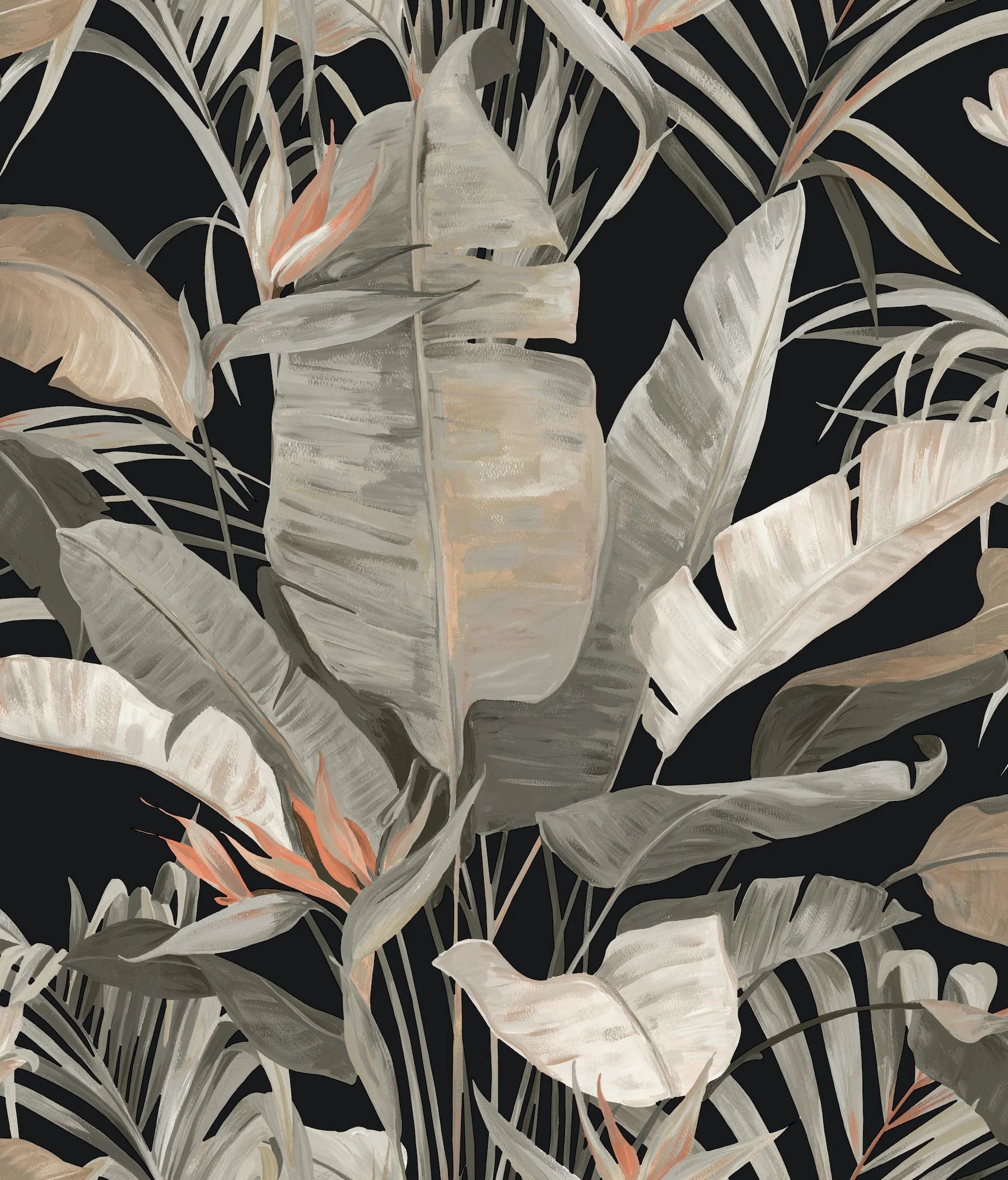NT6135 Tropical Cabana Black Wallpaper – wallcoveringsmart