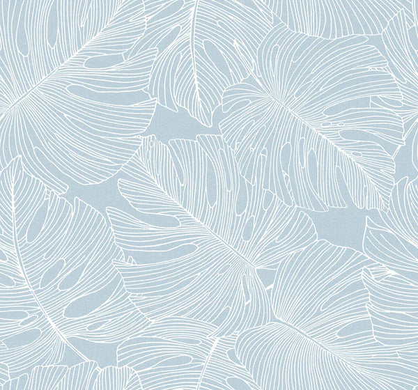 monstera leaf background SC20202 Sky Blue Tarra Monstera Large Leaf Wallpaper – wallcoveringsmart