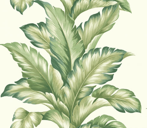 TP81204 Big Leaf white green wallpaper