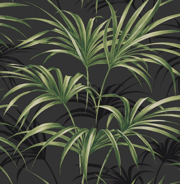 TP80600 Palm Leaf Tropical black green wallpaper – wallcoveringsmart