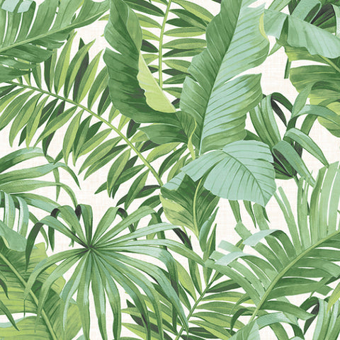 FD24136 Palm leaves Banana Leaf White Green Tropical Wallpaper