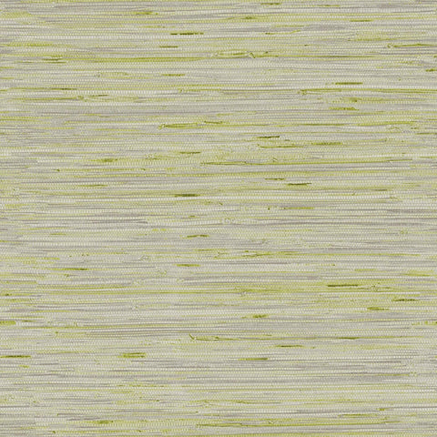 Y6201605 York Lustrous Grasscloth Light Grey Citron Wallpaper