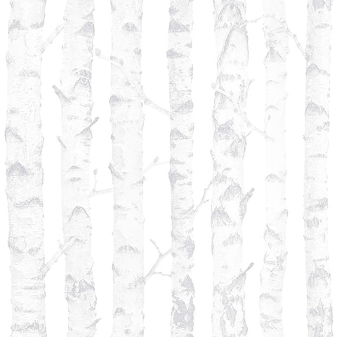 4060-138944 Birdie Grey Birch Wallpaper