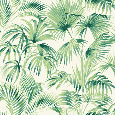4071-71014 Manaus Green Palm Frond Wallpaper