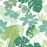 4122-72409 Medellin Green Rainforest Floor Wallpaper