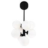 1020P12-8-101 Arya 8 Light Pendant With Black Finish