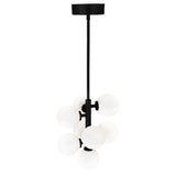 1020P12-8-101 Arya 8 Light Pendant With Black Finish