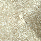 11301 Paisley Trellis Wallpaper 