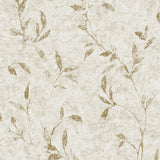 11501 Leaf Impression Wallpaper 
