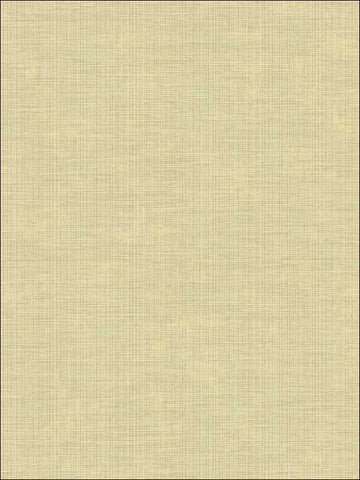 1221303 Textured Off white Metallic Wallpaper