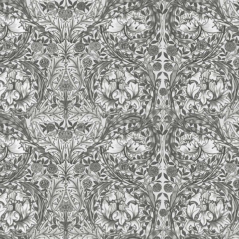 125427FXST William Morris African Marigold Grey Mural