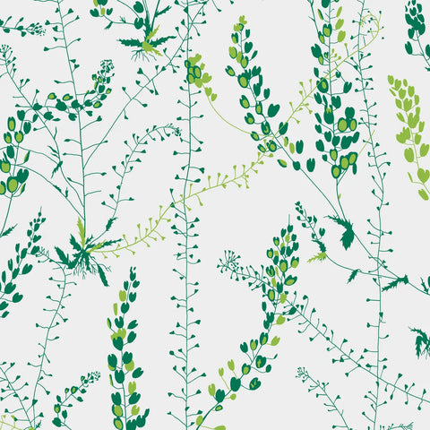1787 Bladranker Leaf Wallpaper