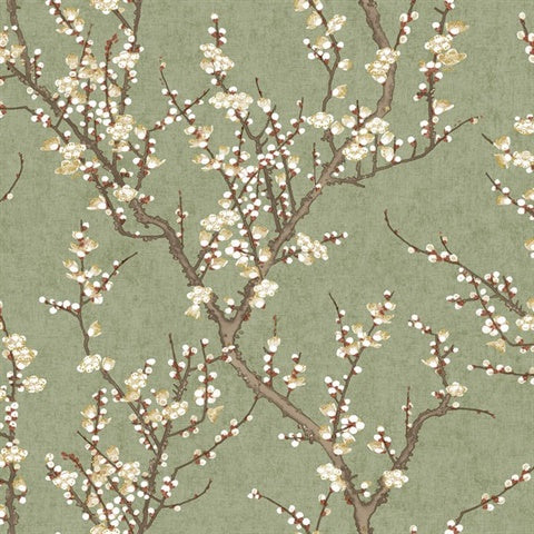 1903-4 Sakura Tree Floral Green Wallpaper