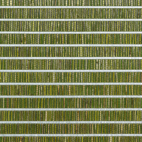 1983 Totally Tatami Wallpaper Soft Rush Green Phillip Jeffries Wallcoverings