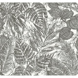 4034-72115 Brentwood Black Palm Leaves Wallpaper by Scott Living