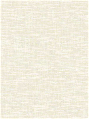 2010305 Grasscloth Look Metallic Wallpaper