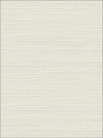 2010406 Grasscloth Look Metallic Wallpaper