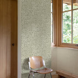 205003 Branched Leaves All-over Wallpaper  