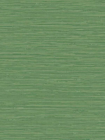 GL20314 Banni Jade plain green Wallpaper