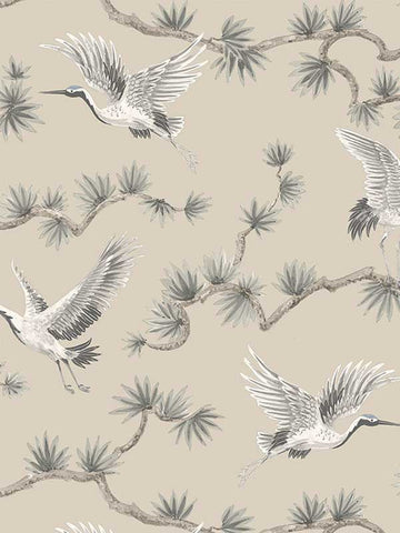GL21708 Grasslands Floral Gray Wallpaper