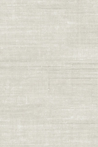 24517 Curiosa Canvas Wallpaper
