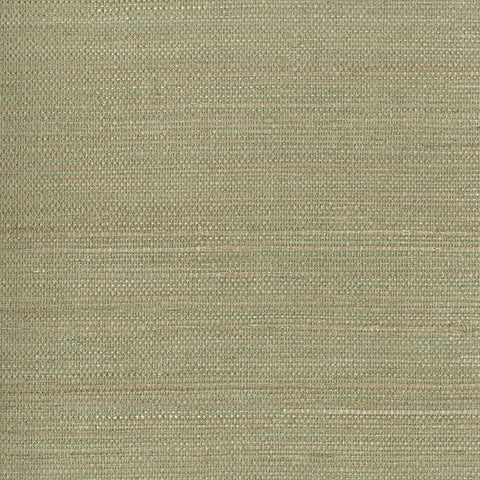 2693-30228 Kenjitsu Mint Grasscloth