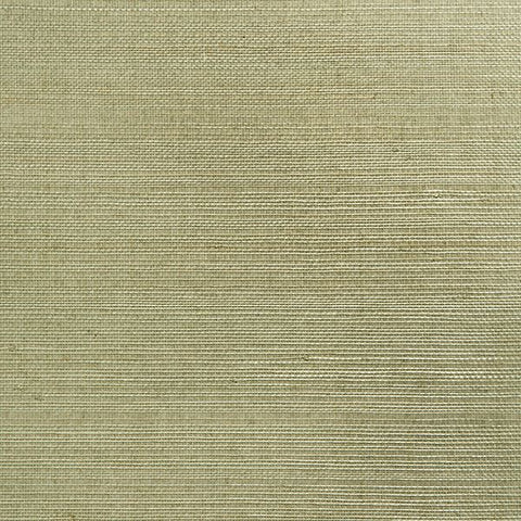 2693-54748 Mutei Sage Grasscloth