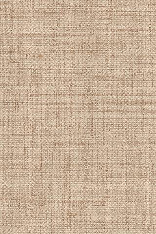 27017 Curiosa Puro Wallpaper