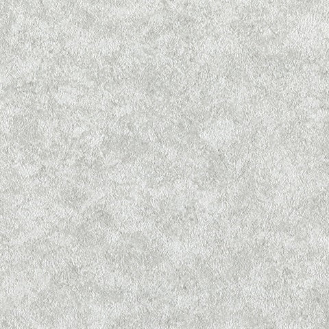 2741-6073 Fogie Silver Scrim Wallpaper