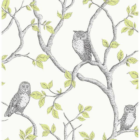 2900-40637 Linden Green Owl Wallpaper