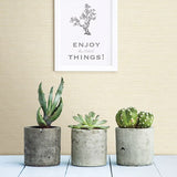 2901-24280 Agave Bliss Light Yellow Faux Grasscloth Wallpaper