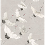 2904-24304 Windsong Grey Bird Wallpaper