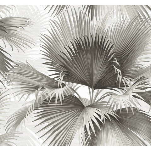2927-40100 Summer Palm Charcoal Tropical Wallpaper