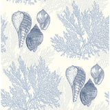 2927-81202 Nauset Blue Seashell Shores Wallpaper