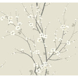 2927-81805 Taupe beige gray white watercolor cherry blossom branches Chinoiserie wallpaper
