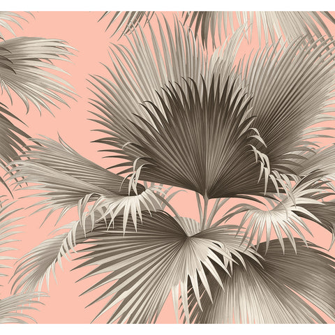  2927-81901 Summer Palm Blush Tropical Wallpaper