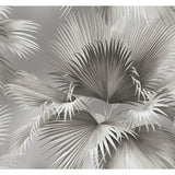 2927-81908 Summer Palm Platinum Tropical Wallpaper