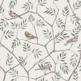 2948-27015 Crossbill Off-White Branches Wallpaper