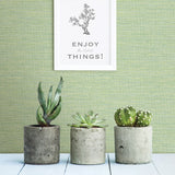 2969-24284 Agave Green Imitation Grasscloth Wallpaper