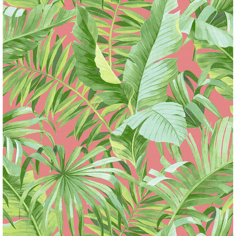 2969-26055 Alfresco Coral Tropical Palm Wallpaper