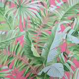 2969-26055 Alfresco leaves Palm Leaf Wallpaper pink green Jungle Tropical Floral 