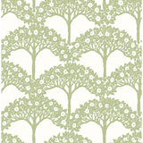 2970-26114 Dawson Green Magnolia Tree Wallpaper
